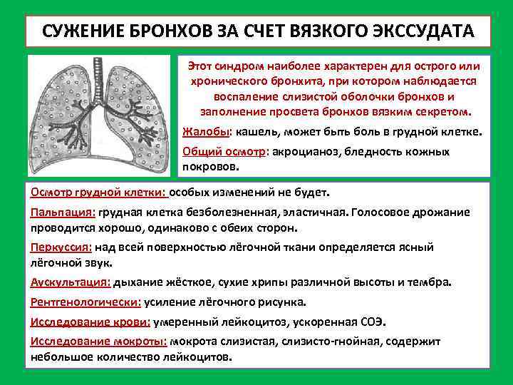 СУЖЕНИЕ БРОНХОВ ЗА СЧЕТ ВЯЗКОГО ЭКССУДАТА Этот синдром наиболее характерен для острого или хронического