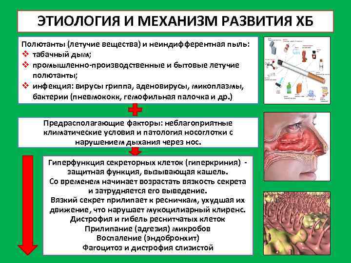 ЭТИОЛОГИЯ И МЕХАНИЗМ РАЗВИТИЯ ХБ Полютанты (летучие вещества) и неиндифферентная пыль: v табачный дым;