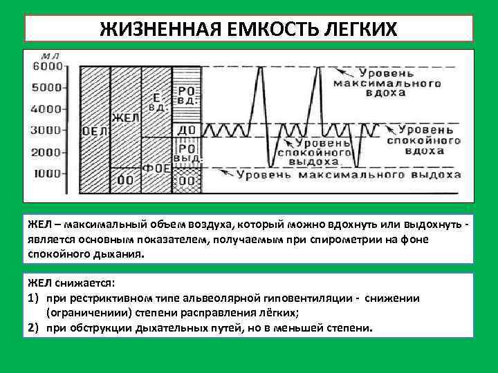 ЖИЗНЕННАЯ ЕМКОСТЬ ЛЕГКИХ ЖЕЛ – максимальный объем воздуха, который можно вдохнуть или выдохнуть является