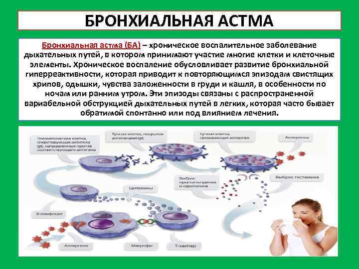 БРОНХИАЛЬНАЯ АСТМА Бронхиальная астма (БА) – хроническое воспалительное заболевание дыхательных путей, в котором принимают