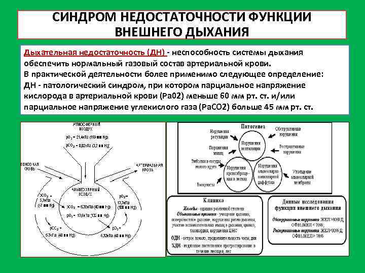 СИНДРОМ НЕДОСТАТОЧНОСТИ ФУНКЦИИ ВНЕШНЕГО ДЫХАНИЯ Дыхательная недостаточность (ДН) неспособность системы дыхания обеспечить нормальный газовый