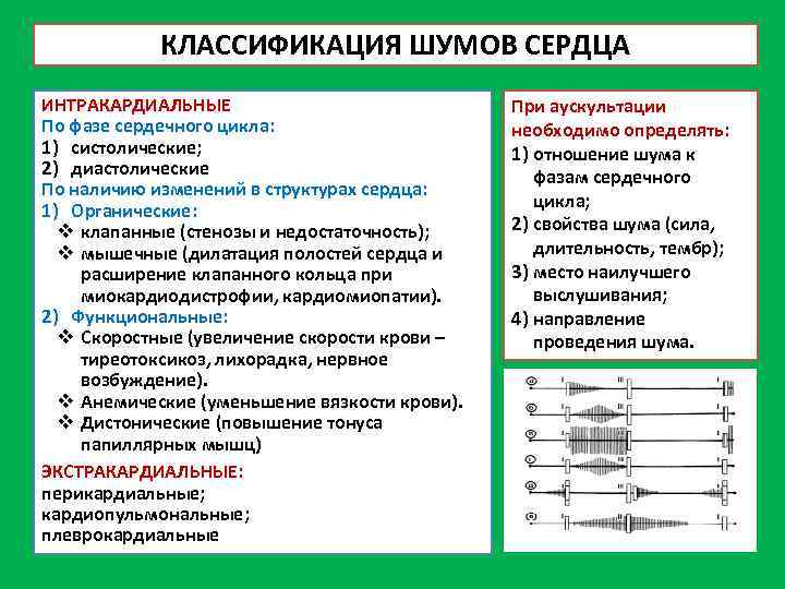 КЛАССИФИКАЦИЯ ШУМОВ СЕРДЦА ИНТРАКАРДИАЛЬНЫЕ По фазе сердечного цикла: 1) систолические; 2) диастолические По наличию