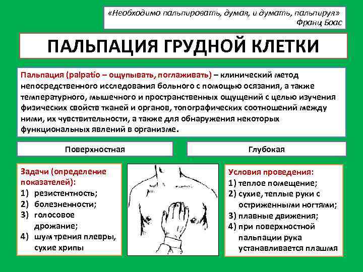  «Необходимо пальпировать, думая, и думать, пальпируя» Франц Боас ПАЛЬПАЦИЯ ГРУДНОЙ КЛЕТКИ Пальпация (palpatio