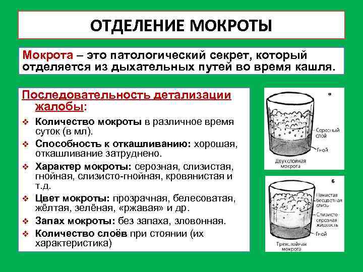 ОТДЕЛЕНИЕ МОКРОТЫ Мокрота – это патологический секрет, который отделяется из дыхательных путей во время