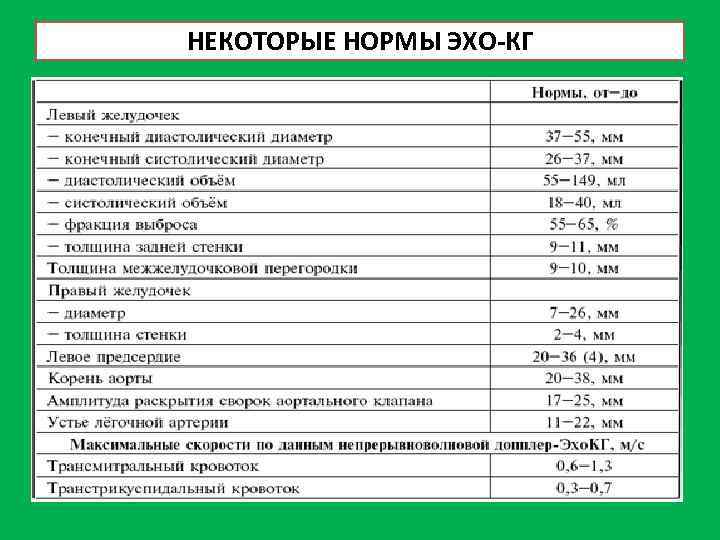 НЕКОТОРЫЕ НОРМЫ ЭХО-КГ 