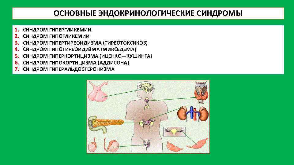 ОСНОВНЫЕ ЭНДОКРИНОЛОГИЧЕСКИЕ СИНДРОМЫ 1. 2. 3. 4. 5. 6. 7. СИНДРОМ ГИПЕРГЛИКЕМИИ СИНДРОМ ГИПОГЛИКЕМИИ