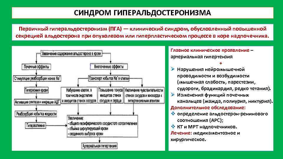 СИНДРОМ ГИПЕРАЛЬДОСТЕРОНИЗМА Первичный гиперальдостеронизм (ПГА) — клинический синдром, обусловленный повышенной секрецией альдостерона при опухолевом