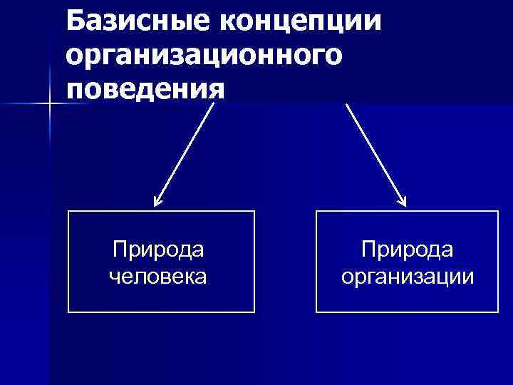 Вопросы организационного поведения