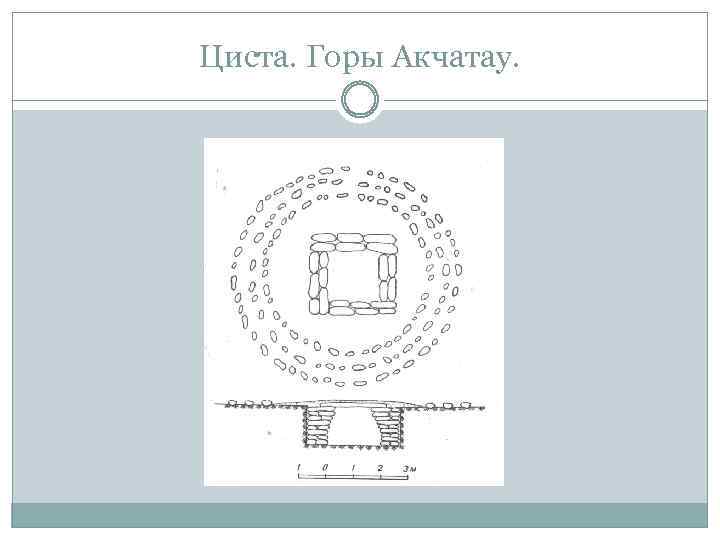 Циста. Горы Акчатау. 