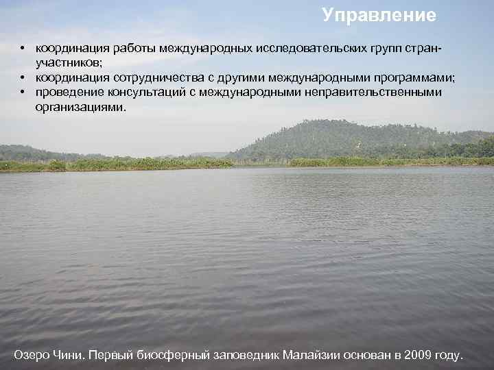 Управление • координация работы международных исследовательских групп странучастников; • координация сотрудничества с другими международными