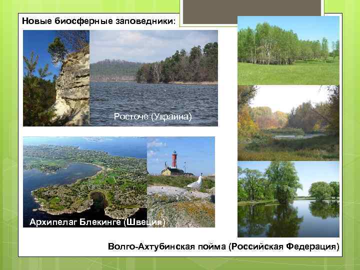 Новые биосферные заповедники: Росточе (Украина) Архипелаг Блекинге (Швеция) Волго-Ахтубинская пойма (Российская Федерация) 