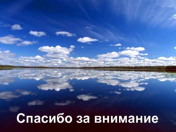 Спасибо за внимание 