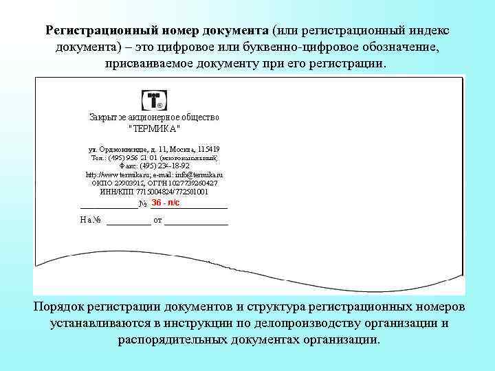 Регистрационный номер документа