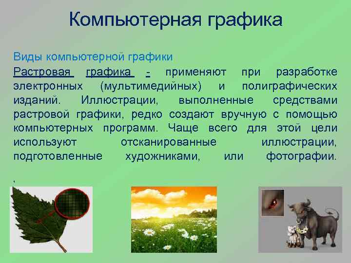 Компьютерная графика Виды компьютерной графики Растровая графика - применяют при разработке электронных (мультимедийных) и