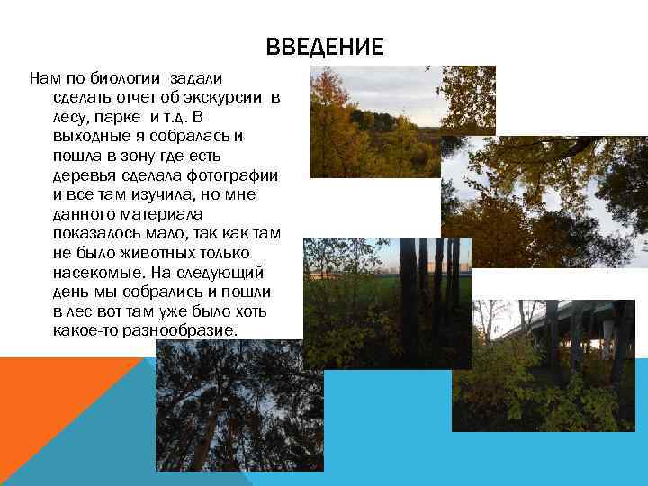 ВВЕДЕНИЕ Нам по биологии задали сделать отчет об экскурсии в лесу, парке и т.