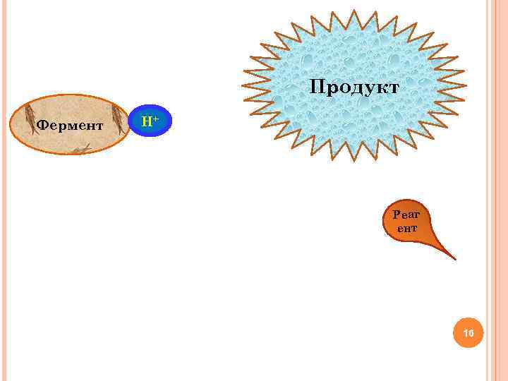 Субстрат Продукт Фермент Н+ Реаг ент 16 