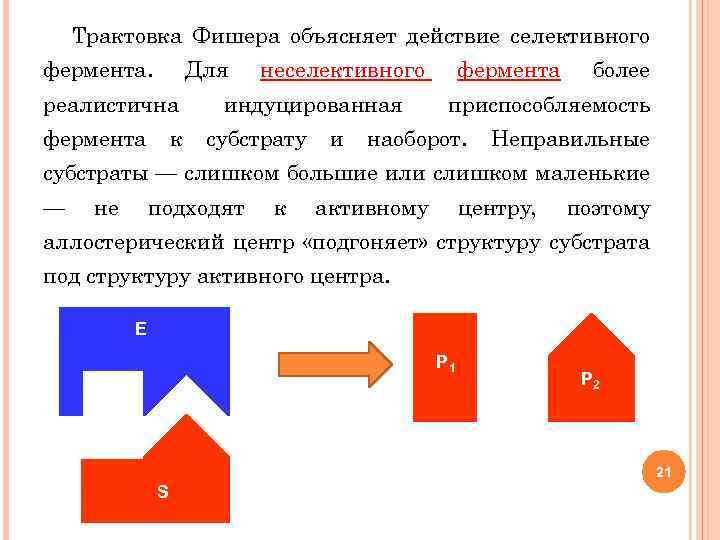 Трактовка Фишера объясняет действие селективного фермента. Для реалистична фермента к неселективного индуцированная субстрату и