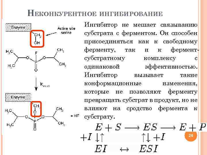 НЕКОНКУРЕНТНОЕ ИНГИБИРОВАНИЕ Ингибитор не мешает связыванию субстрата с ферментом. Он способен присоединяться как к