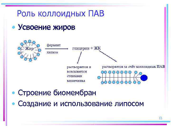 Роль коллоидных ПАВ • Усвоение жиров Жир фермент липаза глицерин + ЖК растворяется и