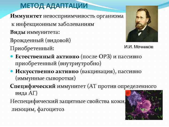 МЕТОД АДАПТАЦИИ Иммунитет невосприимчивость организма к инфекционным заболеваниям Виды иммунитета: Врожденный (видовой) И. И.