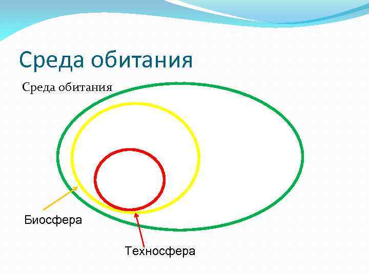 Эволюция среды обитания переход от биосферы к техносфере презентация