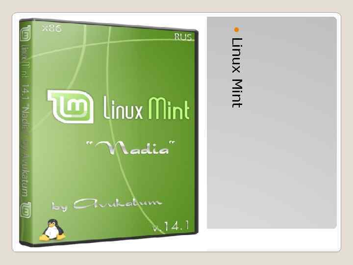  Linux Mint 