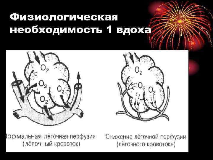 Физиологическая необходимость 1 вдоха 