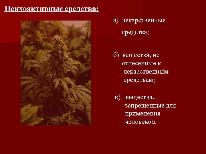 Психоактивные средства: а) лекарственные средства; б) вещества, не отнесенные к лекарственным средствам; в) вещества,