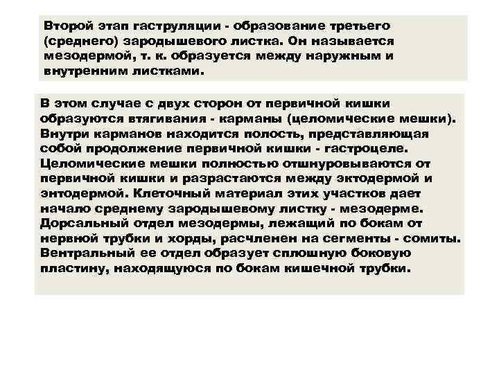 Второй этап гаструляции - образование третьего (среднего) зародышевого листка. Он называется мезодермой, т. к.