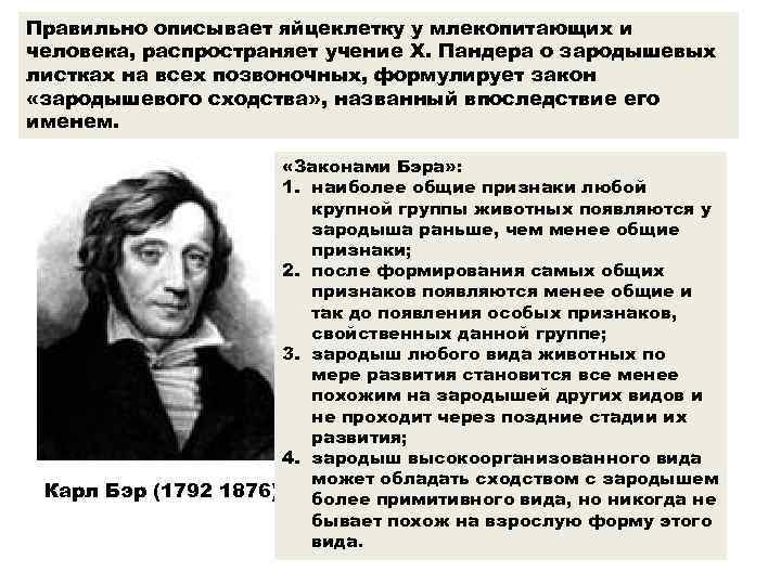 Правильно описывает яйцеклетку у млекопитающих и человека, распространяет учение Х. Пандера о зародышевых листках