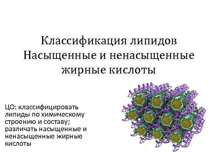 Классификация липидов Насыщенные и ненасыщенные жирные кислоты ЦО: классифицировать липиды по химическому строению и