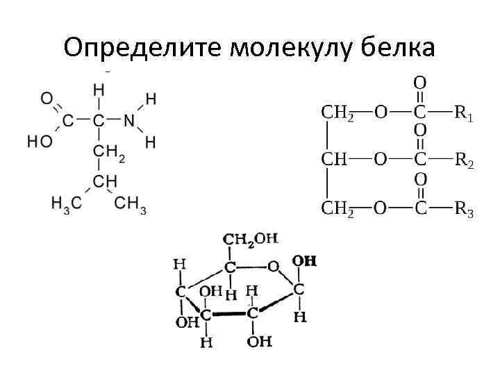 Определите молекулу белка 
