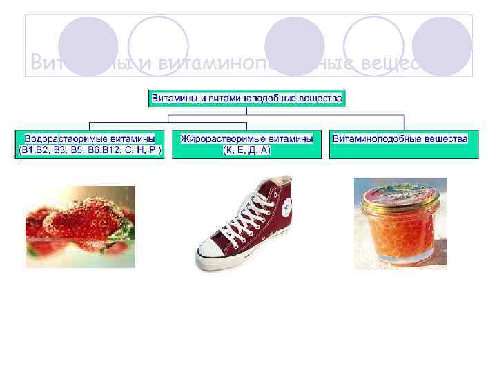 Витамины и витаминоподобные вещества. 