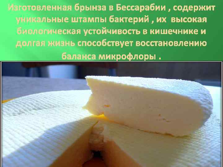 Изготовленная брынза в Бессарабии , содержит уникальные штампы бактерий , их высокая биологическая устойчивость