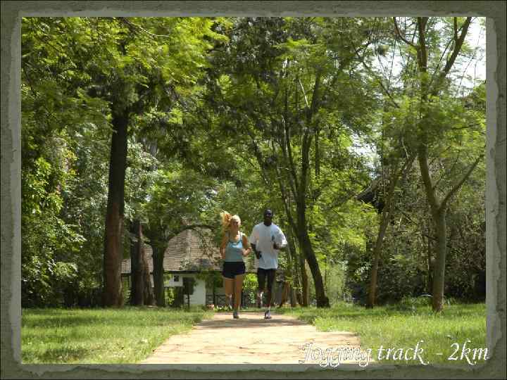 Jogging track - 2 km 