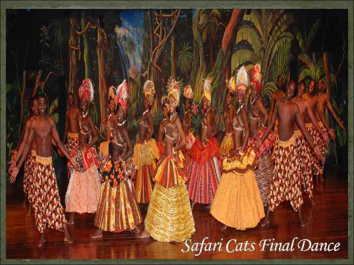 Safari Cats Final Dance 