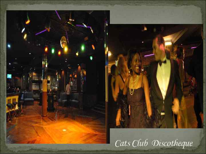 Cats Club Discotheque 