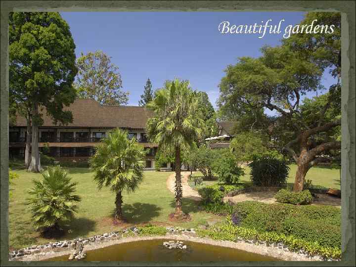 Beautiful gardens 