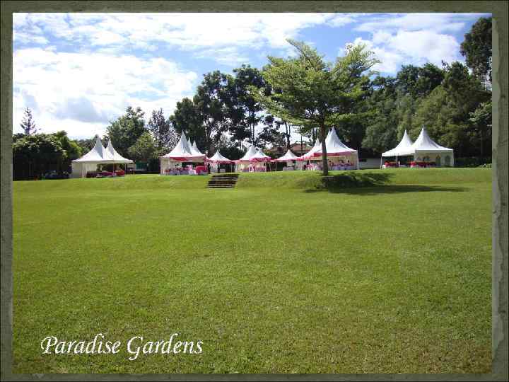 Paradise Gardens 