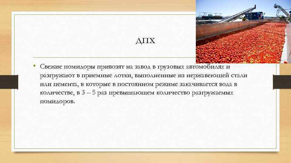 дпх • Свежие помидоры привозят на завод в грузовых автомобилях и разгружают в приемные