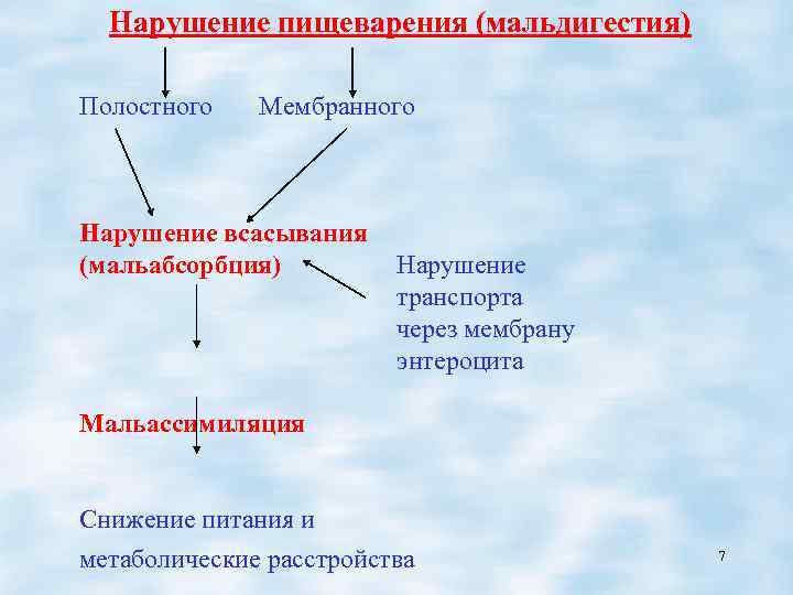 Синдром мальдигестии патофизиология презентация