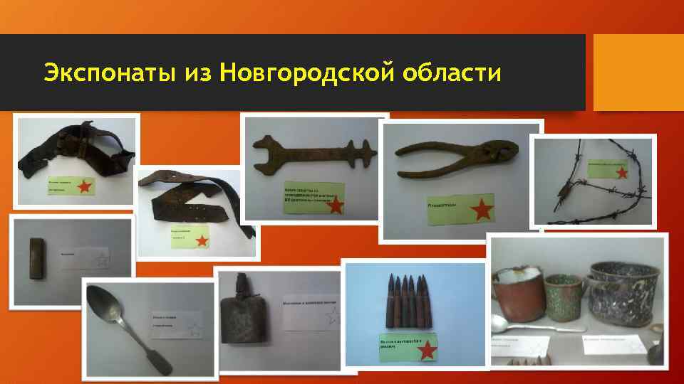 Экспонаты из Новгородской области 
