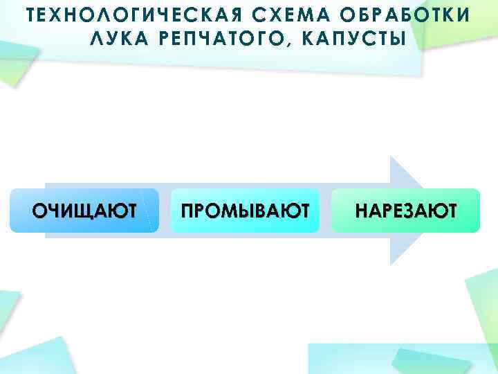 ТЕХНОЛОГИЧЕСКАЯ СХЕМА ОБРАБОТКИ ЛУКА РЕПЧАТОГО, КАПУСТЫ ОЧИЩАЮТ ПРОМЫВАЮТ НАРЕЗАЮТ 