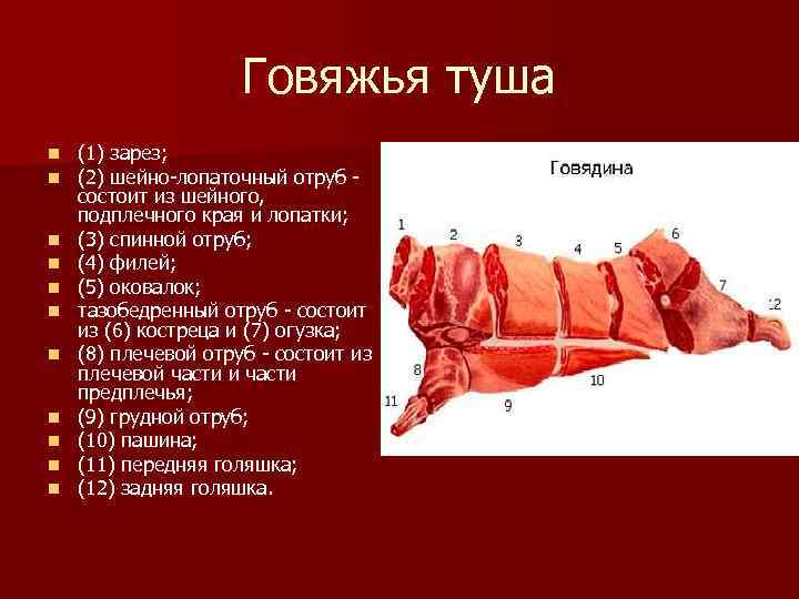 Говяжья туша n n n (1) зарез; (2) шейно-лопаточный отруб состоит из шейного, подплечного