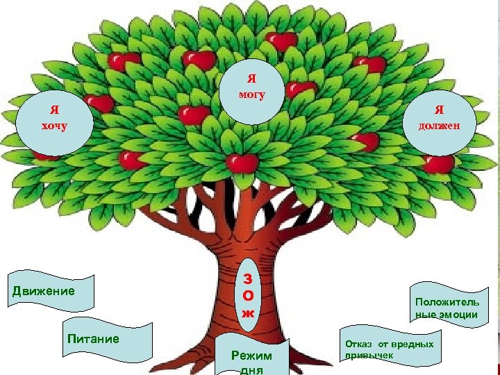 Я могу Я хочу Движение Я должен З О ж Питание Режим дня Положитель