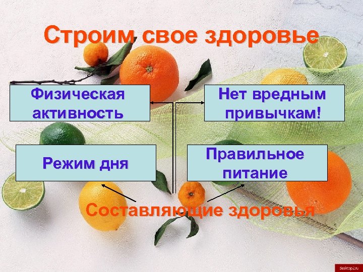 Строим свое здоровье Физическая активность Режим дня Нет вредным привычкам! Правильное питание Составляющие здоровья