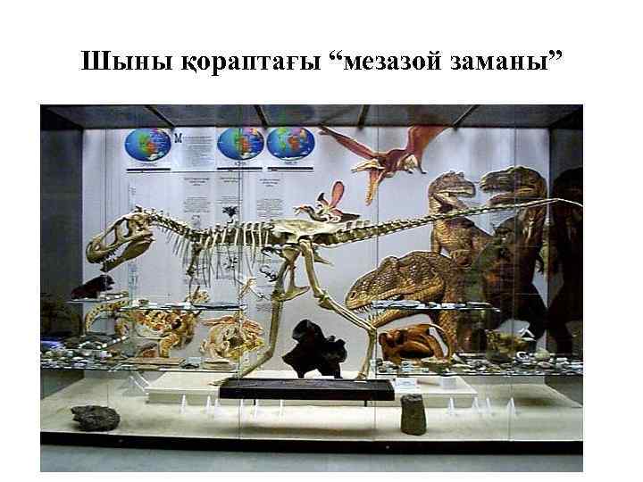 Шыны қораптағы “мезазой заманы” 