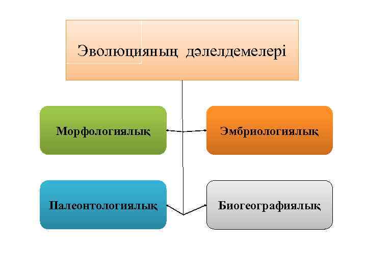 Эволюцияның дәлелдемелері Морфологиялық Эмбриологиялық Палеонтологиялық Биогеографиялық 