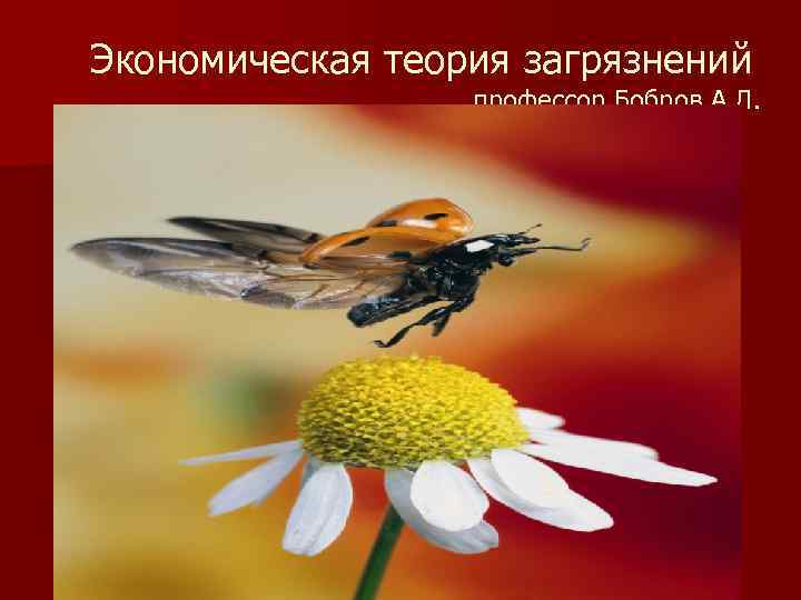 Экономическая теория загрязнений профессор Бобров А. Л. 