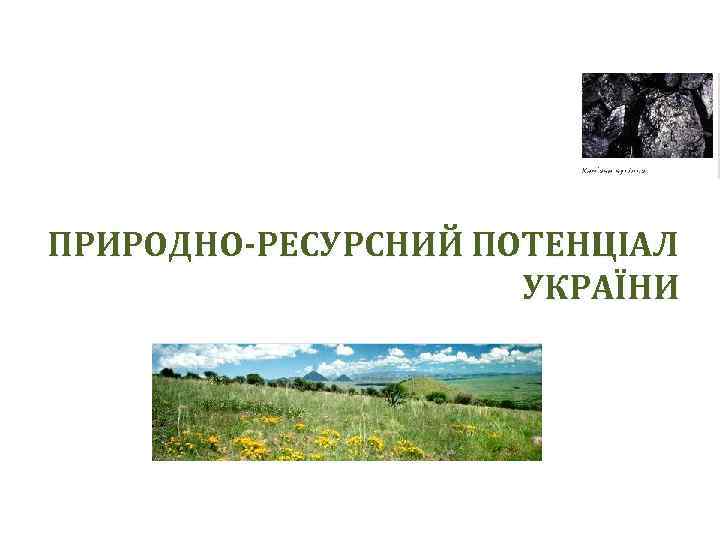 ПРИРОДНО-РЕСУРСНИЙ ПОТЕНЦІАЛ УКРАЇНИ 